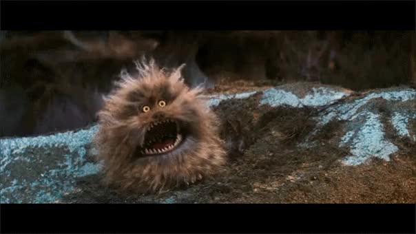 Fizzgig