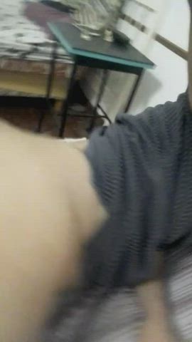 ass bear bouncing clip