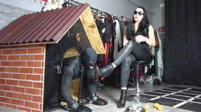 Dogging Licking Mistress clip