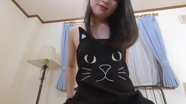 Tiny Japanese apron reveal