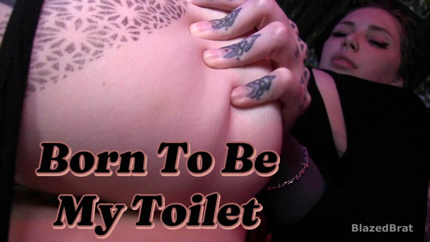 ass ass spread asshole mistressmercyrage toilet ass-worship clip