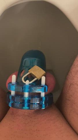 Blue Chastity Cock Mistress Penis Piss Pissing Sissy clip