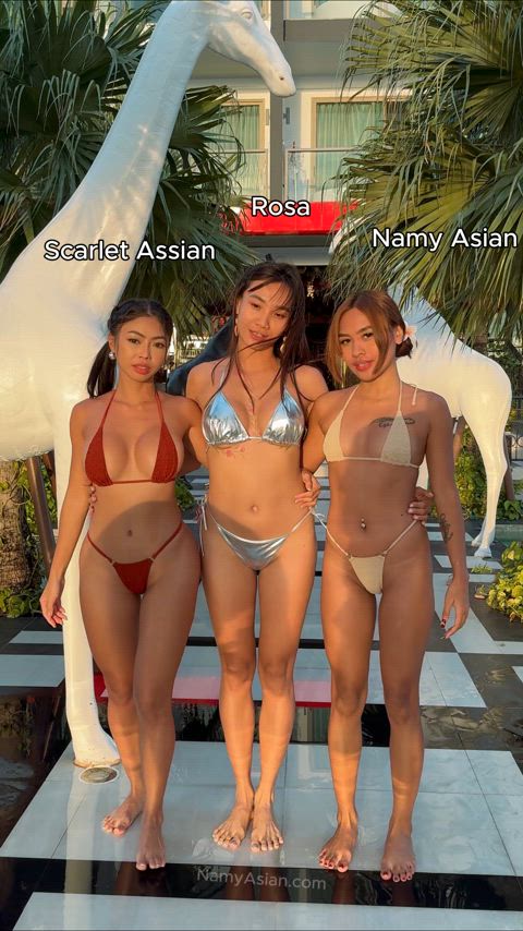 Asian Bikini Boobs Cute Girls Sexy Thai Vietnamese 