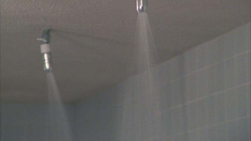 celebrity cinema nudity retro shower clip