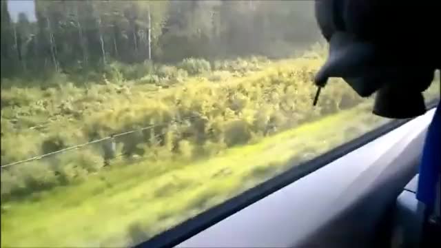 Risky blowjob on a train