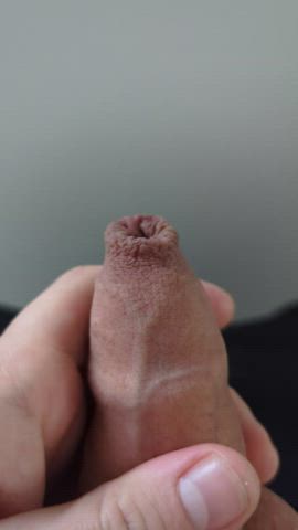 close up foreskin penis clip