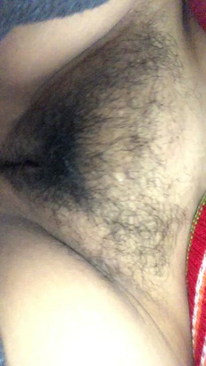 Hairy Pussy Pussy Thick clip