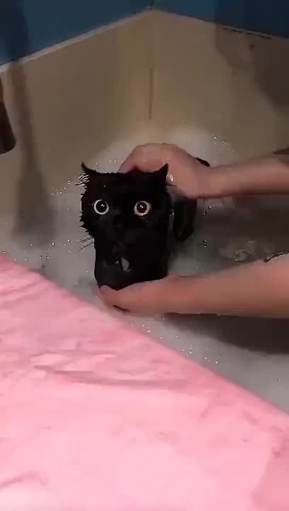 Pretty pussy in the bath