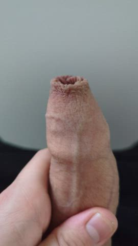 close up foreskin penis clip