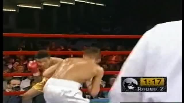 gatti comeback