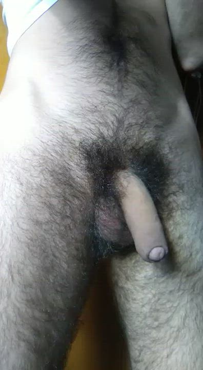 Foreskin Hairy Hairy Cock Solo Uncut clip