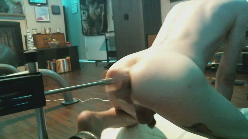 anal fuck machine puppy clip