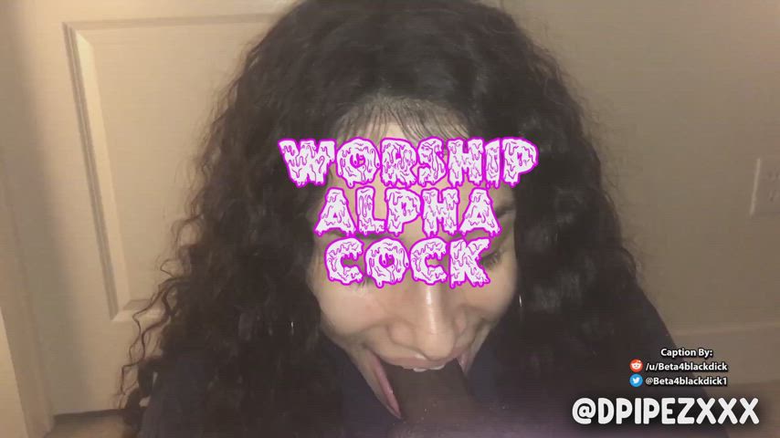 Worship ALPHA cock, slut.
