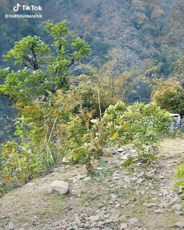 Upar wale se No shanapanti? #nature #hills #vine #duet