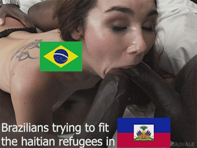 Brazil haitian