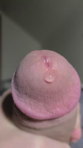 jerk off male masturbation masturbating penis precum clip