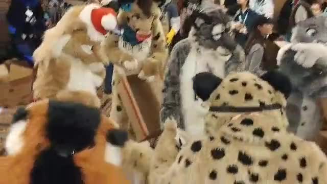 Snow leopard perching MFF