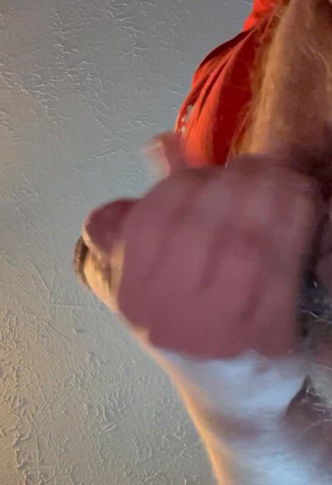 POV I cum on your face