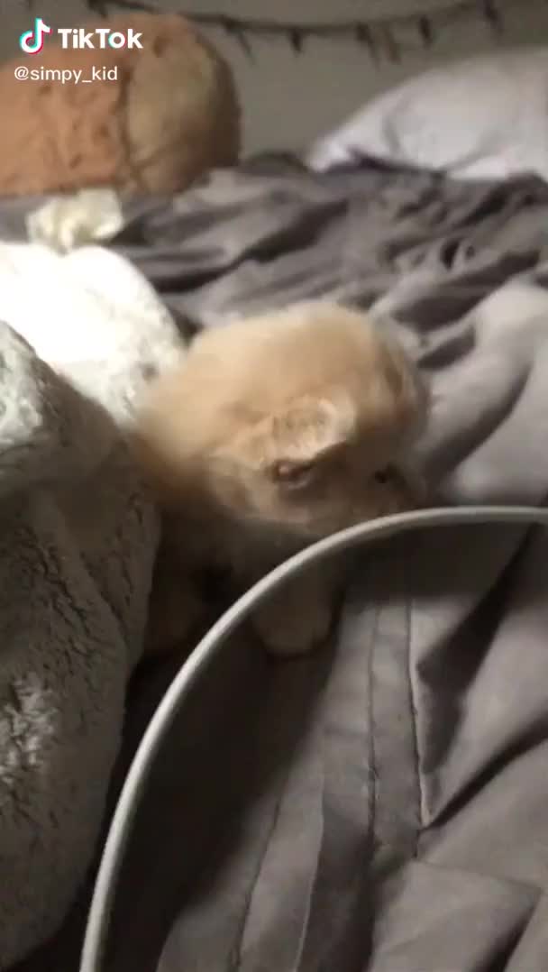 Violent taps on baby