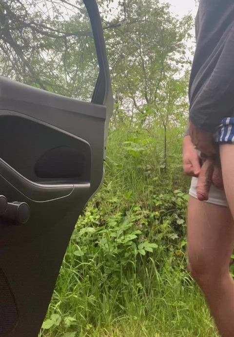 Roadside piss