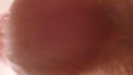 Balls Bouncing Male Masturbation POV clip