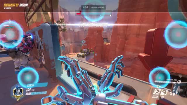 predictable widow