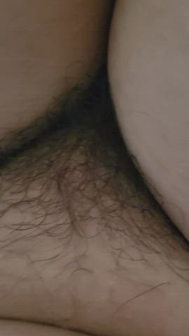 My all hairy is yours, you are welcome