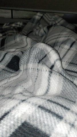 Somethings under the Blanket!