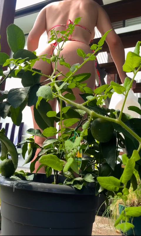 Gardening in a bikini is the only way