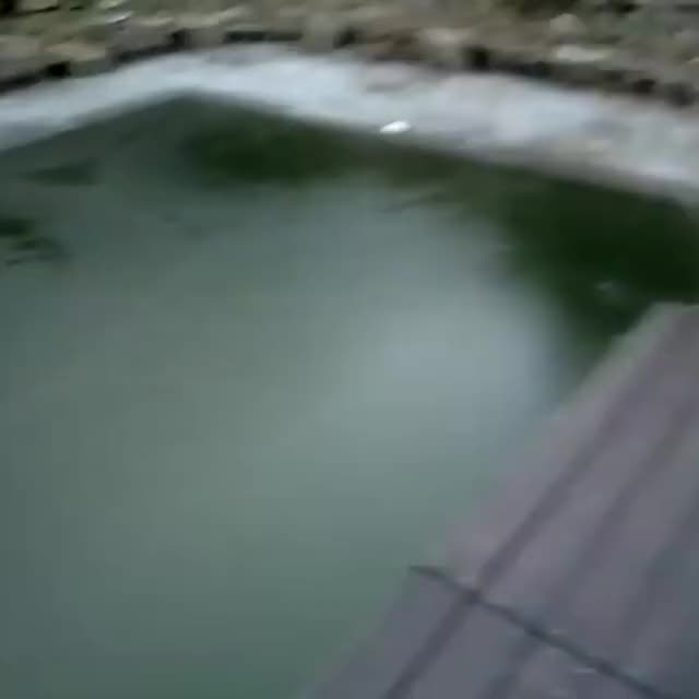 Let me jump on this frozen pool, WCGW?