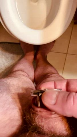 Chastity Little Dick Pee Peeing r/sph clip