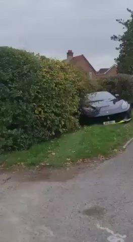 British Car r/NSFWFunny Porn GIF by chubbyhubby7548