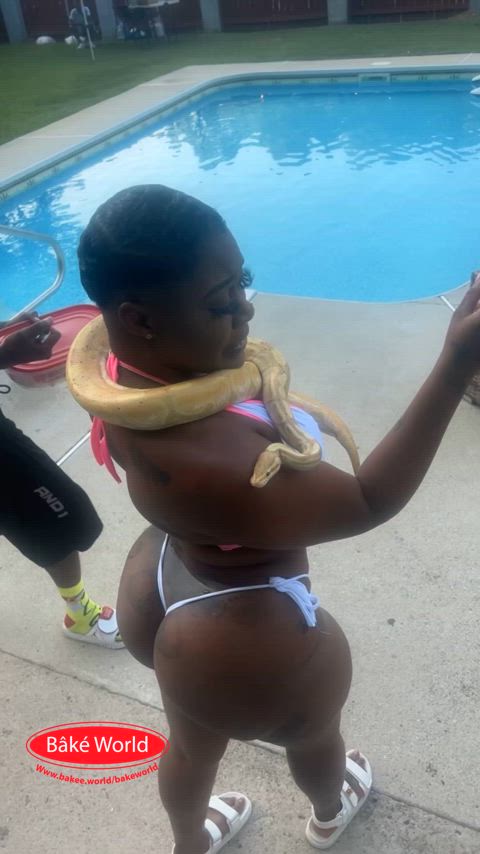 Lil D Bake world Sck Pool party wit pornstars 