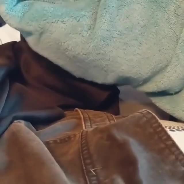Wait for it...(sound on) ??? Thanks and credit: @dinobirbs . . .