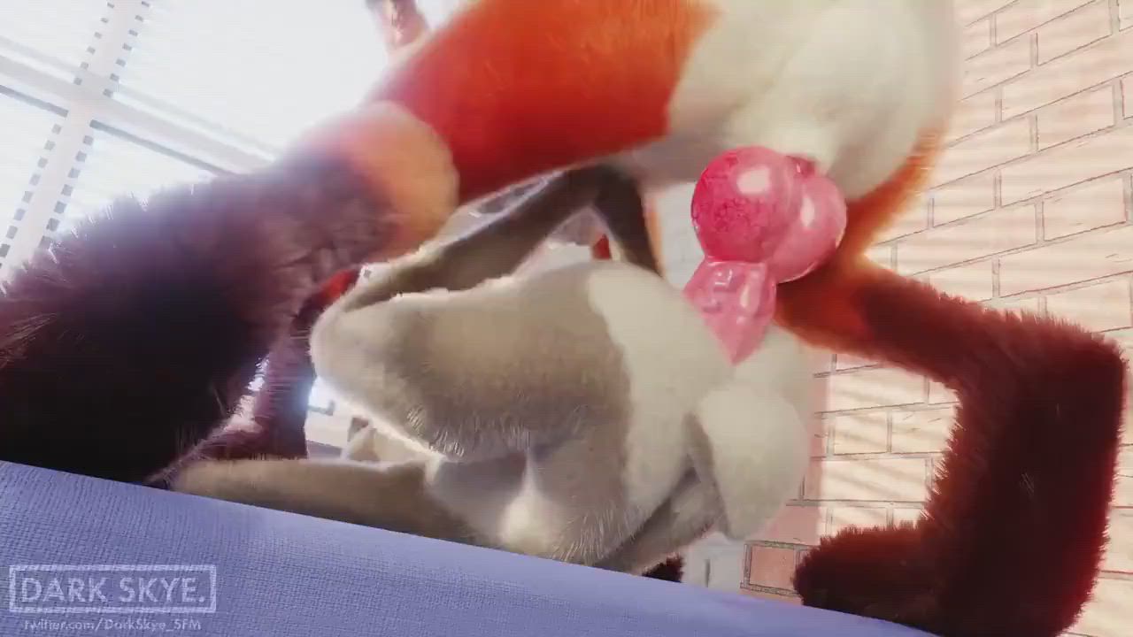 Animation Bunny Pile Driver clip