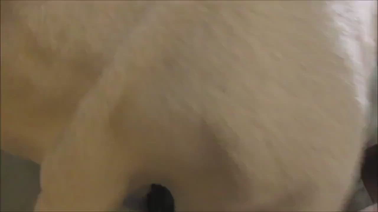 Cum Cumshot Tribute clip