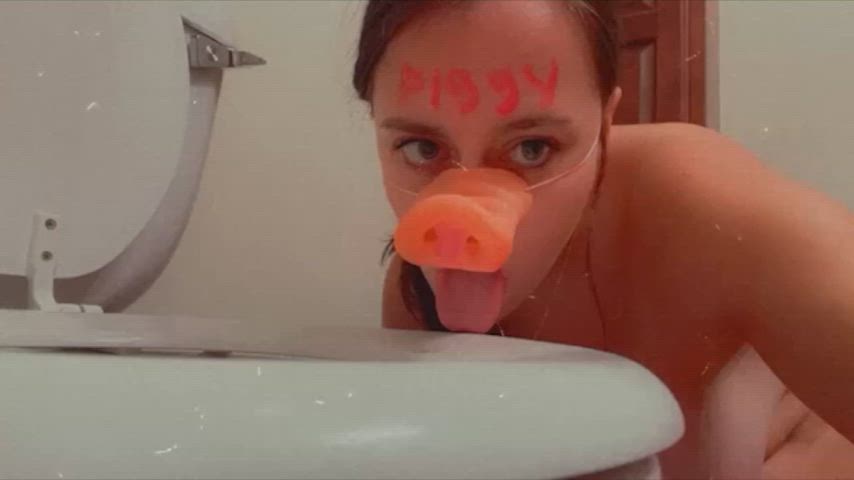 My 19-year-old piggy slave licks and humps the toilet to entertain me