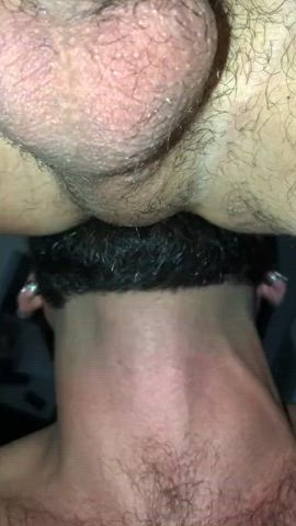 ass big ass gape gay pussy rimjob rimming trimmed clip
