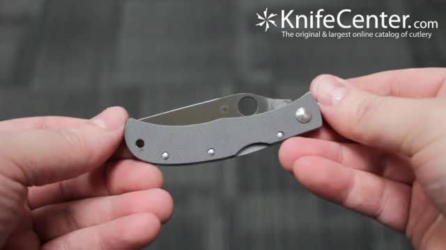 Raw Spyderco SPCX08GGYP