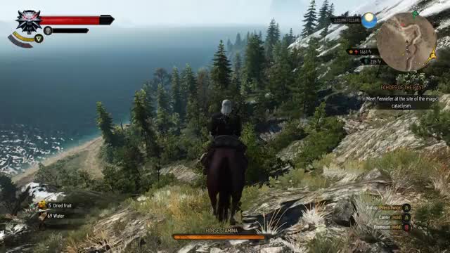 Witcher 3- Roach