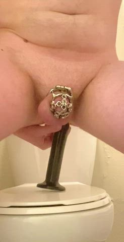 Anal Ass CBT Chastity Humiliation Naked Slave Strap On Toilet clip