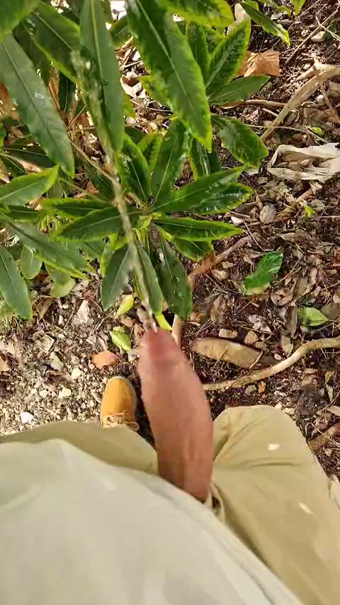 [18] pissing at the plants