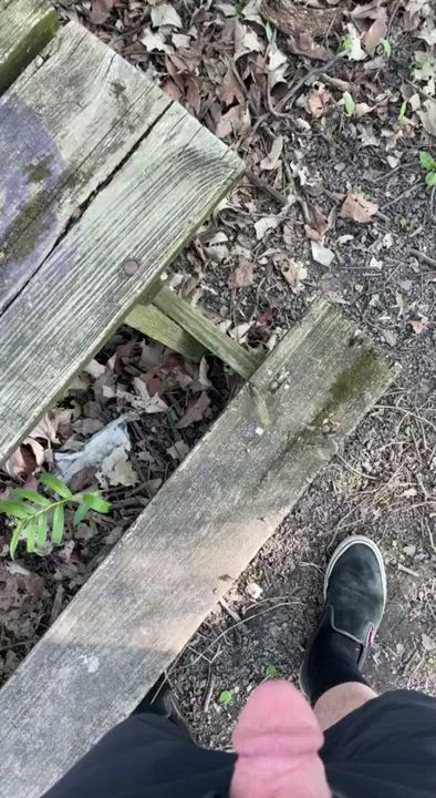 On an abandoned picnic table in the woods