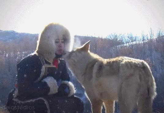 ZOOFILIA CON LOBOS XDEIOSCURIOS