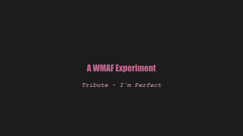 A wmaf experiment - Tribute - I'm Perfect (splitscreen PMV)