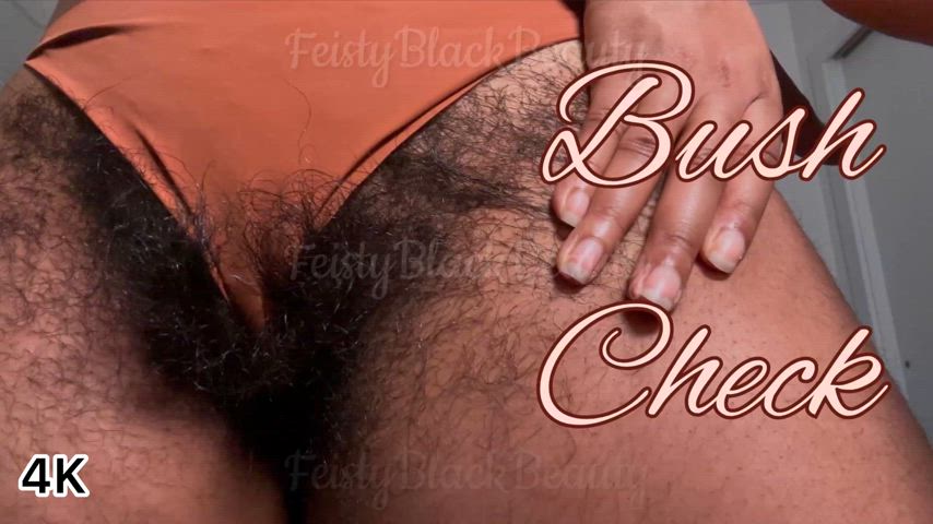 New Clip: Goddess Feistys Bush Check - Hairy Ebony Pussy Update 4K