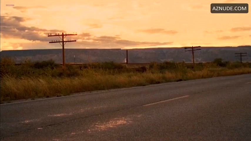 Piper Perabo and Emily VanCamp - Carriers (2009)