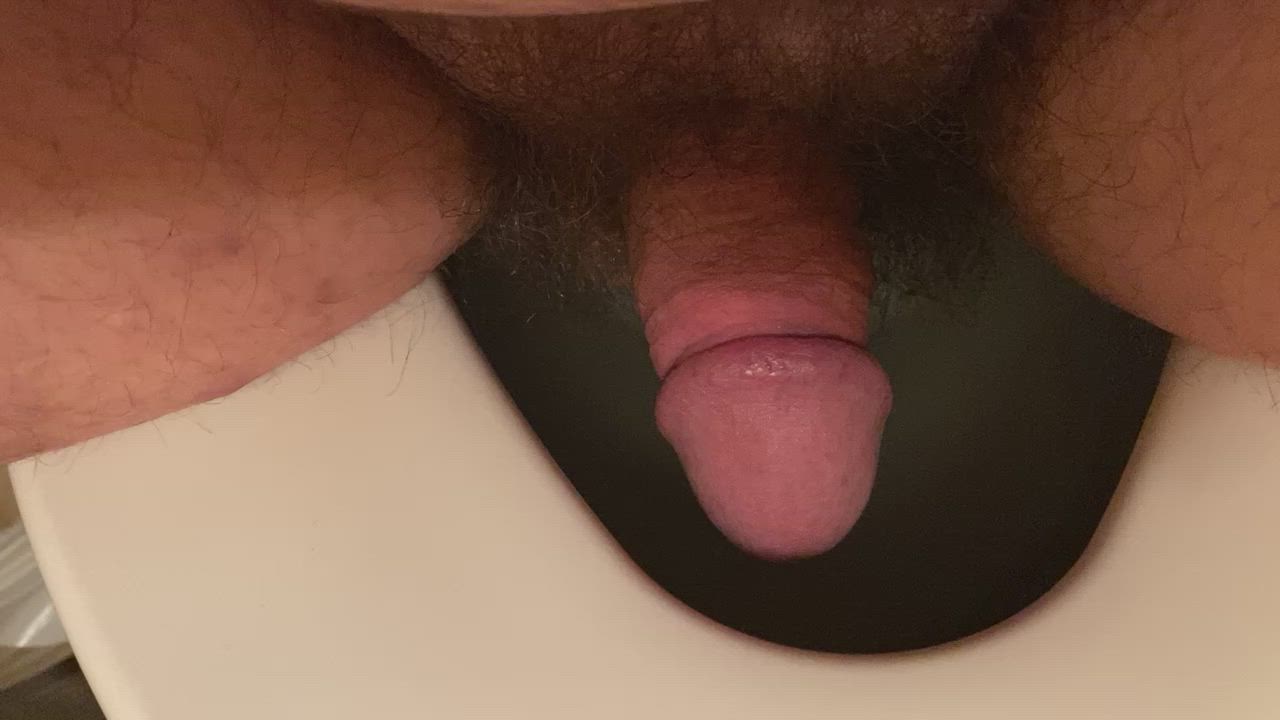 Erection Pee Peeing Penis Piss Pissing Toilet clip