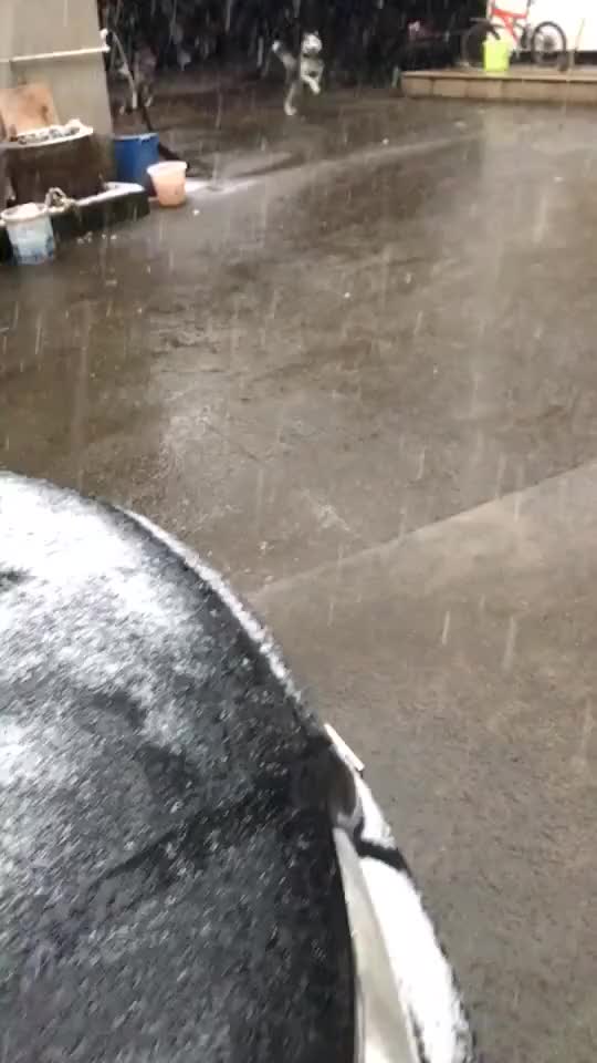 The first time he seeing snow