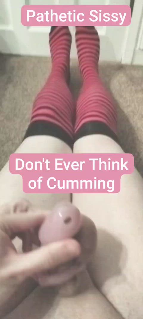 caged caption chastity femboy knee high socks sissy sissy slut slave twink sissycaption